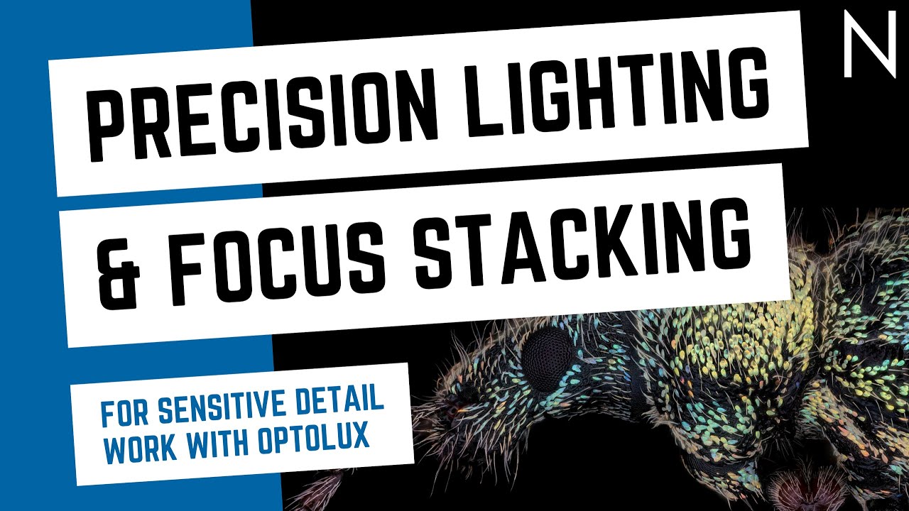 Webinar Replay - Precision Lighting & Focus Stacking for Sensitive Detail work with optolux