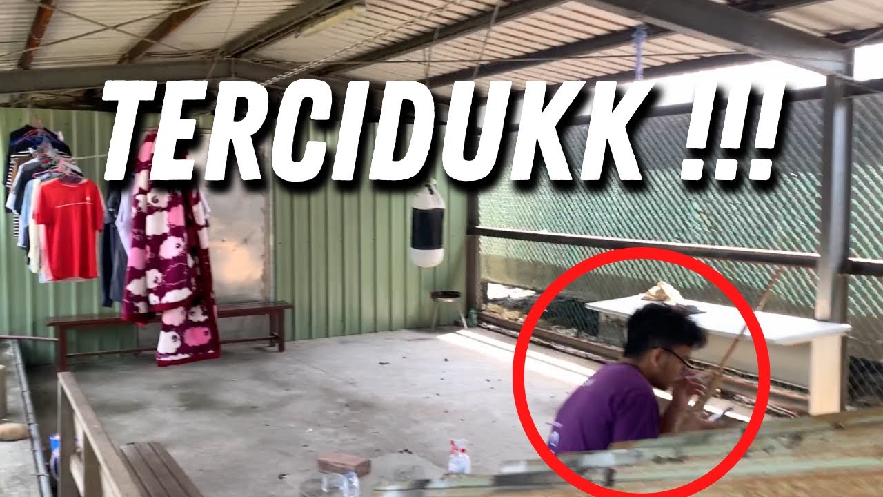 DORMITORY MINGHSIN UNIVERSITY REVIEW | | Unedited Video