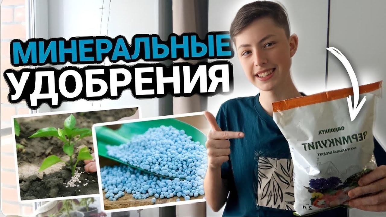 ВСЕ ЧТО НУЖНО ЗНАТЬ О МИНЕРАЛЬНЫХ УДОБРЕНИЯХ!