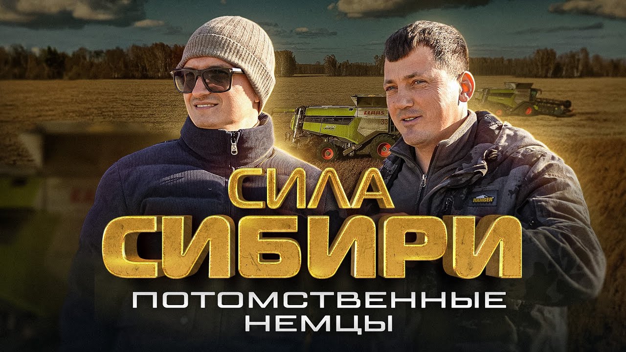 НЕТ ПОРЯДКА - нет результата! История немецкого Фермера в Новосибирске. 