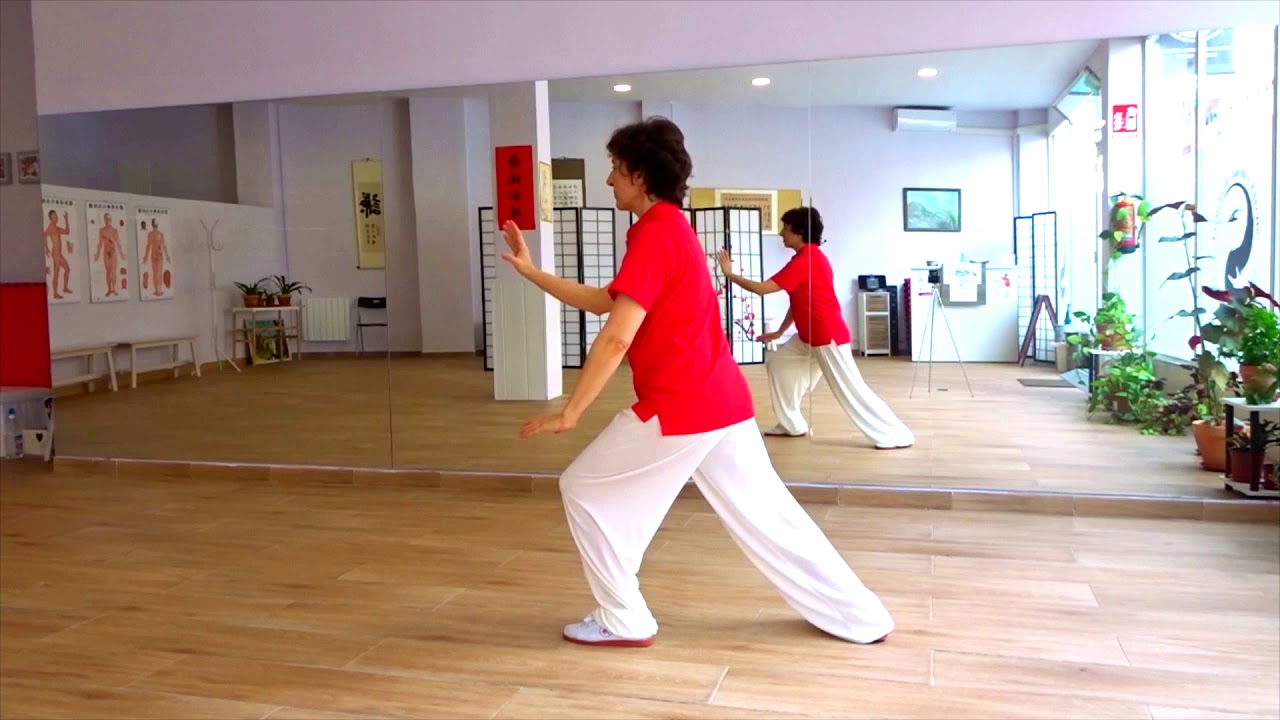 Taichi Yang de 88 movimientos