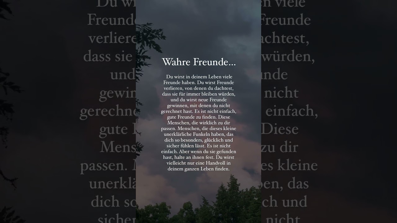 Wahre Freunde sind selten&hellip;. 🫂 #songpoeten #zitate #zitateundsprueche #spr&uuml;chezumnachdenken #spr&uuml;che