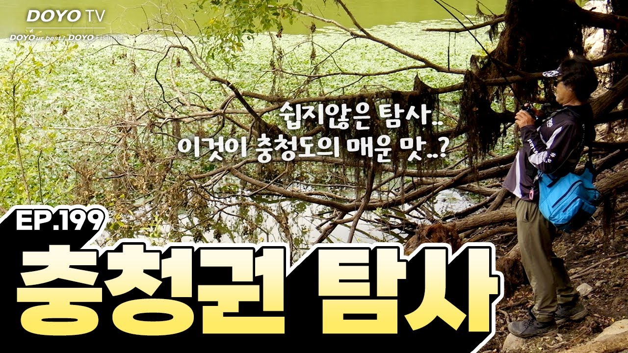 [도요TV ep.199] 배스낚시는 탐사의 매력도 있습니다!!
