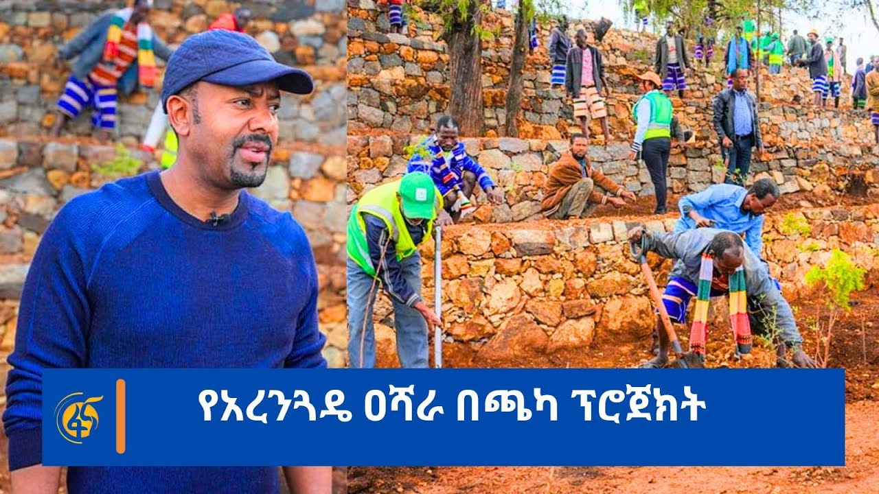 የአረንጓዴ ዐሻራ በጫካ ፕሮጀክት