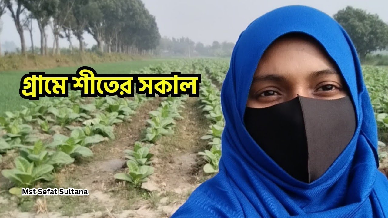 সবুজের মাঝে একদিন | A day in the green | Mst Sefat Sultana