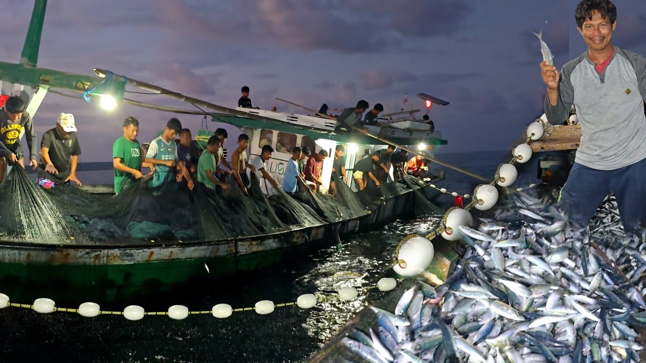 Hari Ke.2 PASANG PUKAT CINCIN Jaring Ikan bersama Nelayan Pulau Kadatua - Camp Fishing