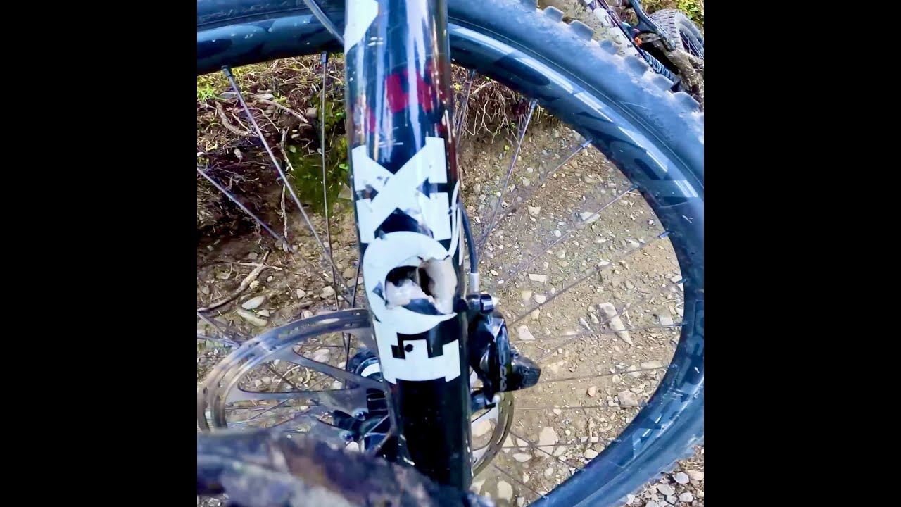 FOX 40 Kashima nach Sturz crash - bikepark Leogang  Antonius Trail #shorts
