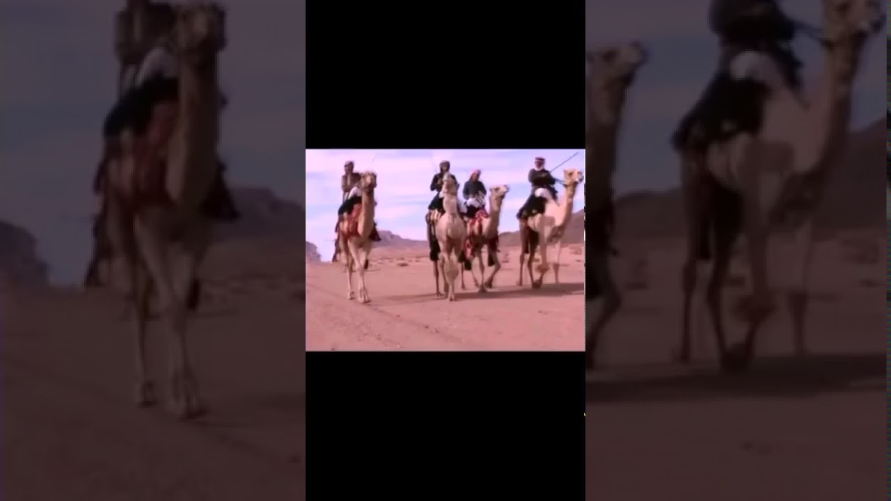 قصيدة من فحول شعراء البدو علي بن حمد الكربي قبل100 سنه
