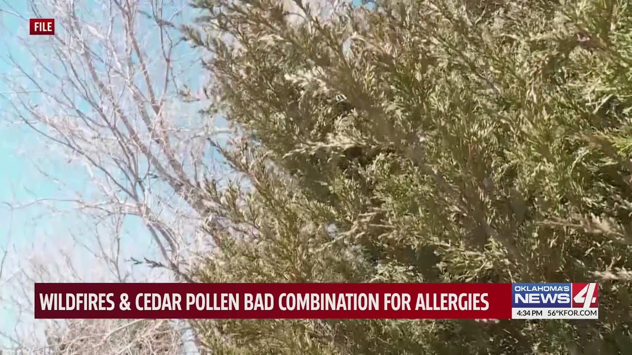 Wildfires & cedar pollen bad combination for allergies