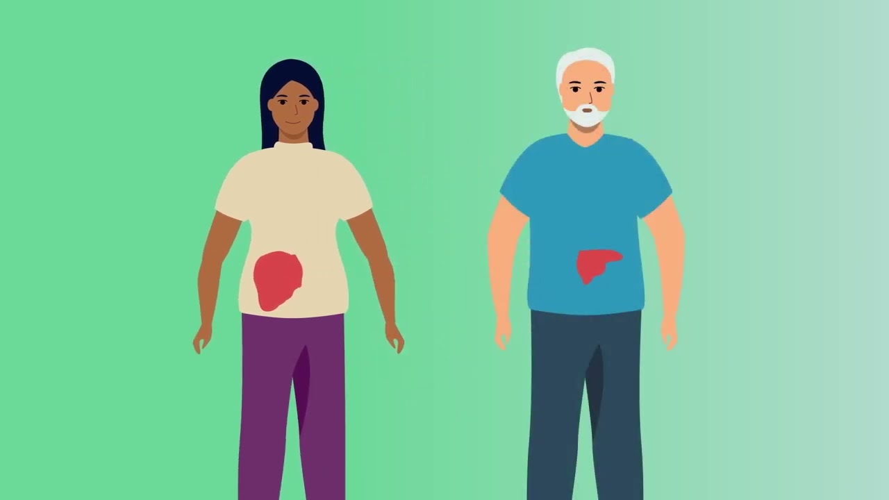 Dar En Vida: Los Fundamentos de la Donación de Órganos en Vida