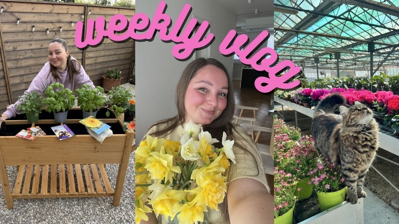 Ristrutturazione infinita 🏡|| Weekly vlog || Gemmina