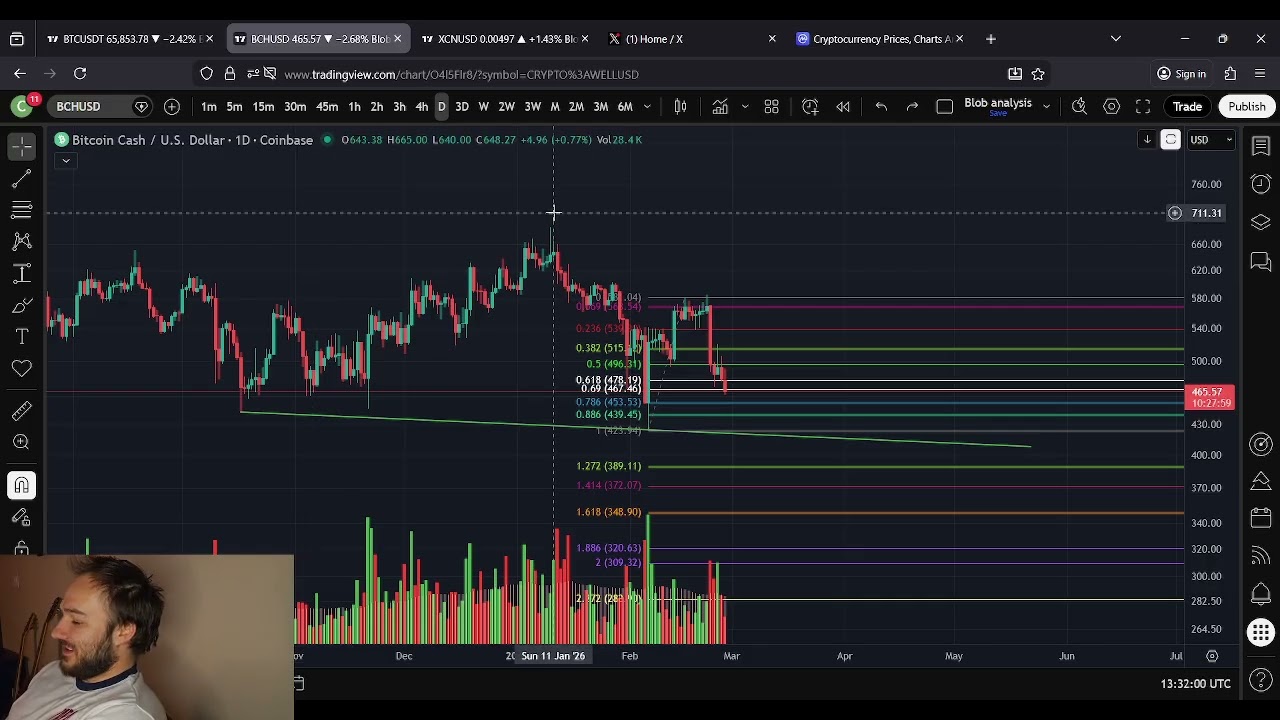 Prognoza ceny Bitcoin Cash BCH: 27 lutego