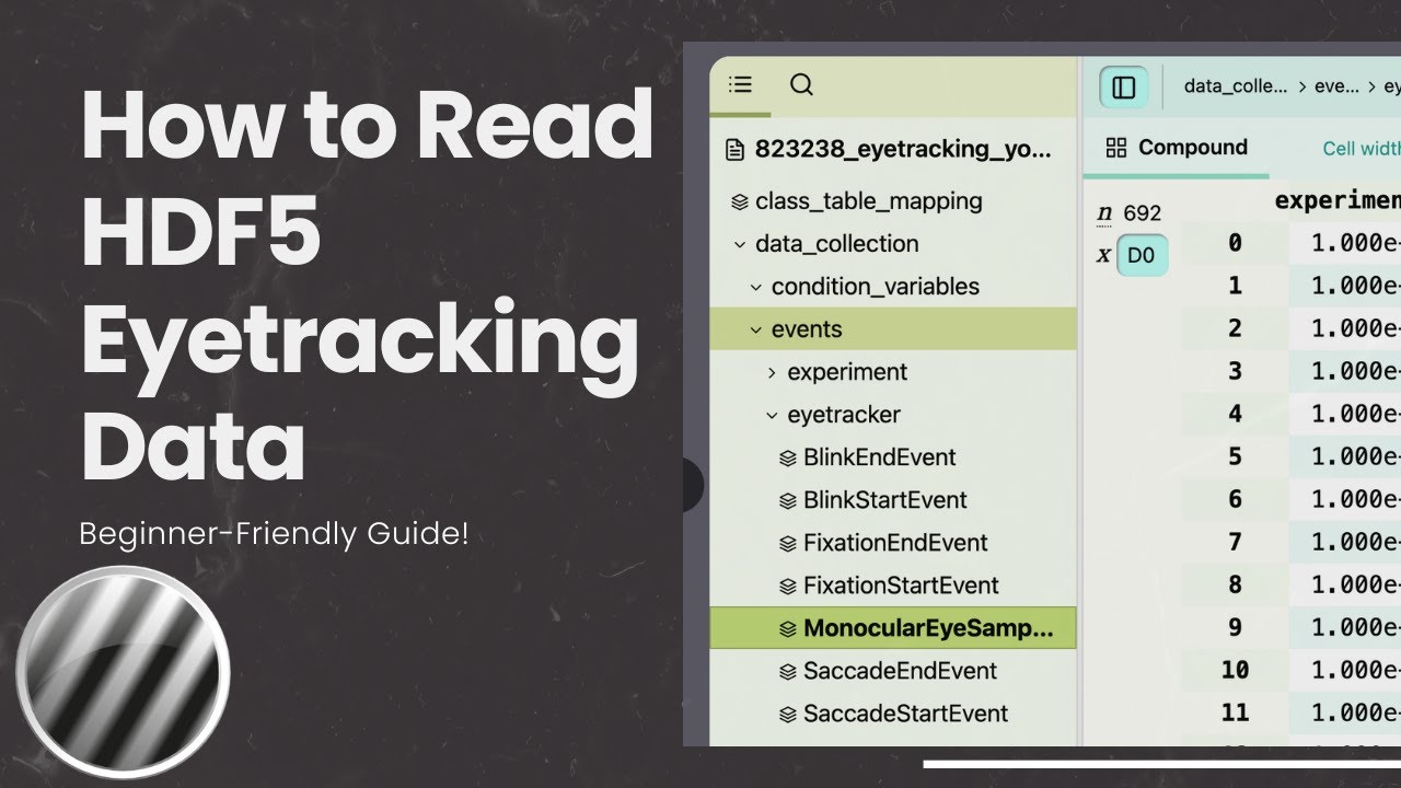 How to Read HDF5 Eyetracking Data (Beginner-Friendly Guide!)