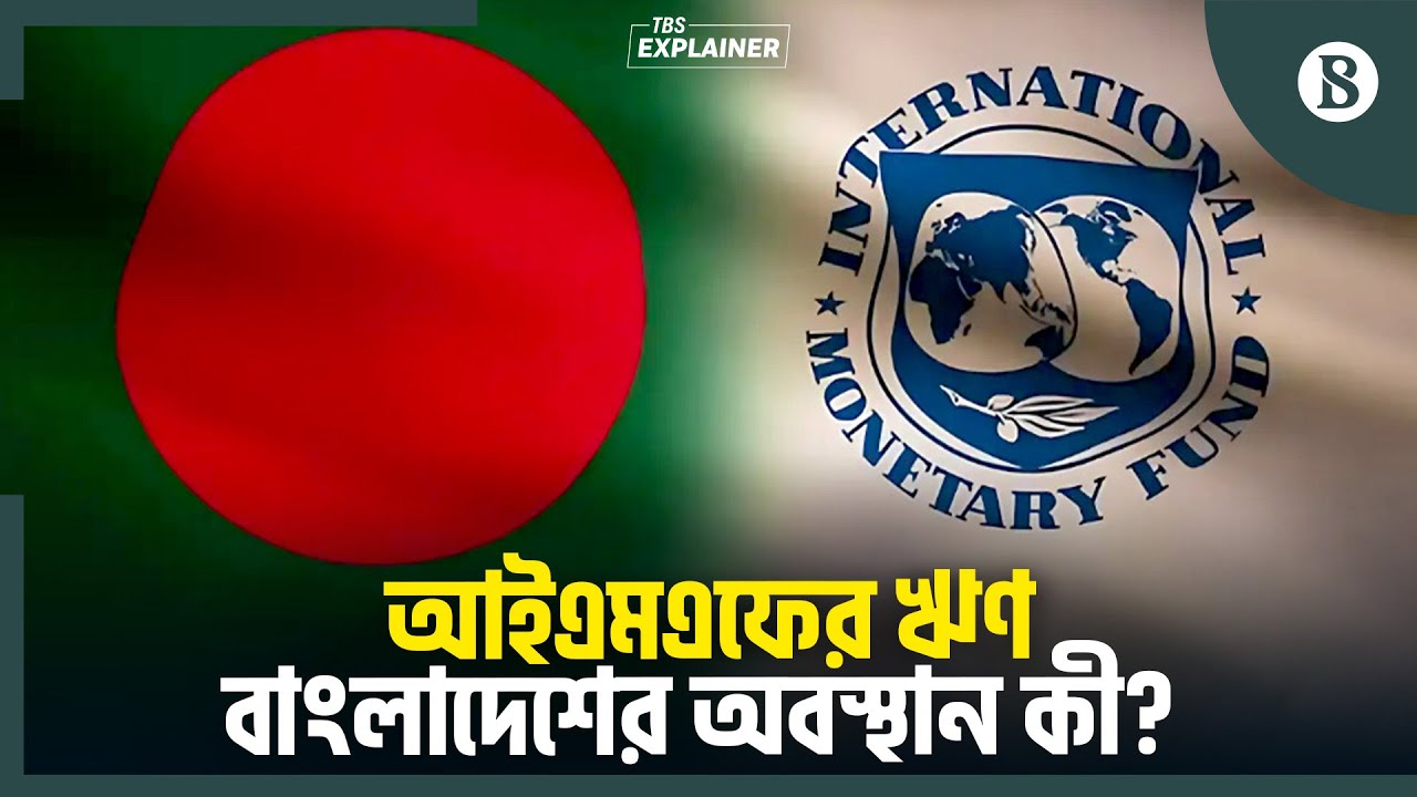 ২০২৫ সালে কোন দেশগুলো IMF-এর কাছে সবচেয়ে বেশি ঋণী? | Global Economy | The Business Standard