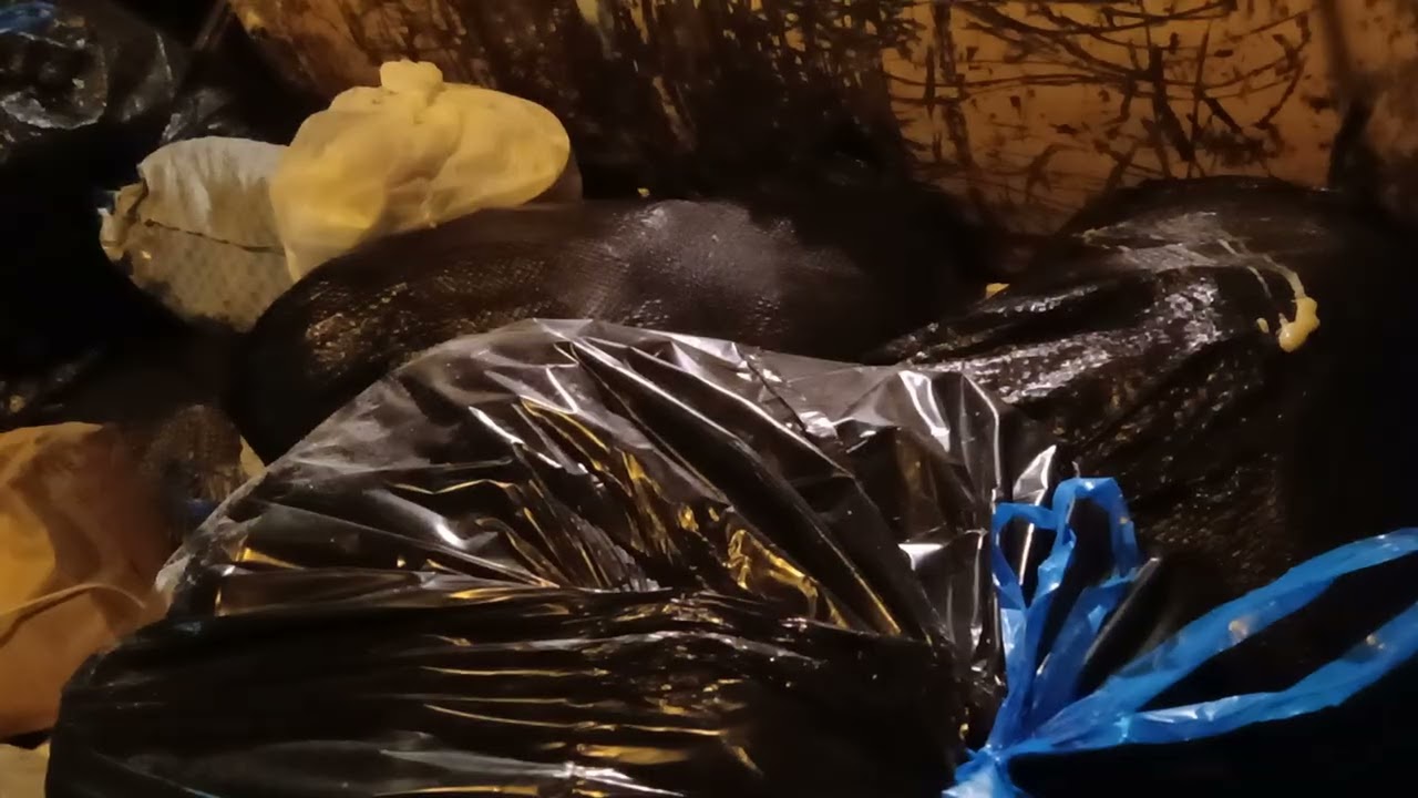 Throwing ice blocks I mean trash bags part 5
