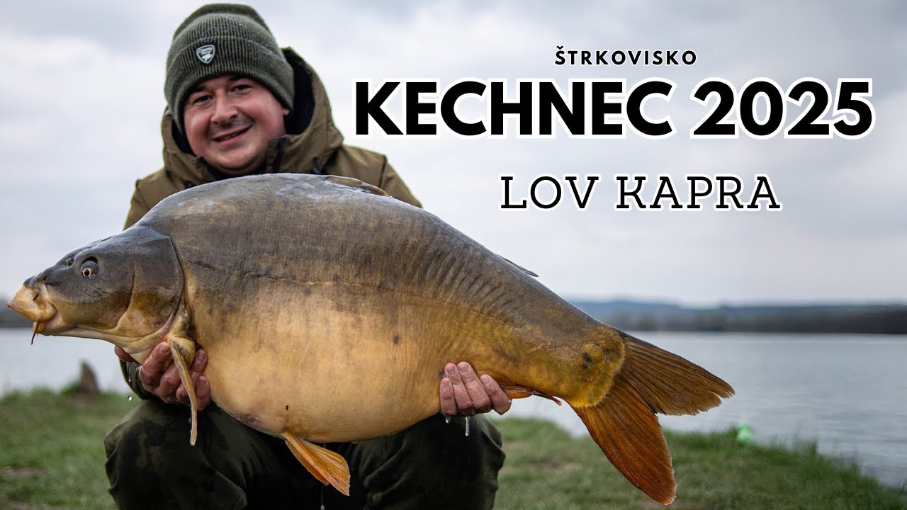 Lov Kapra na Štrkovisku Kechnec 2025 - Kapor Koženáč jak prasa !