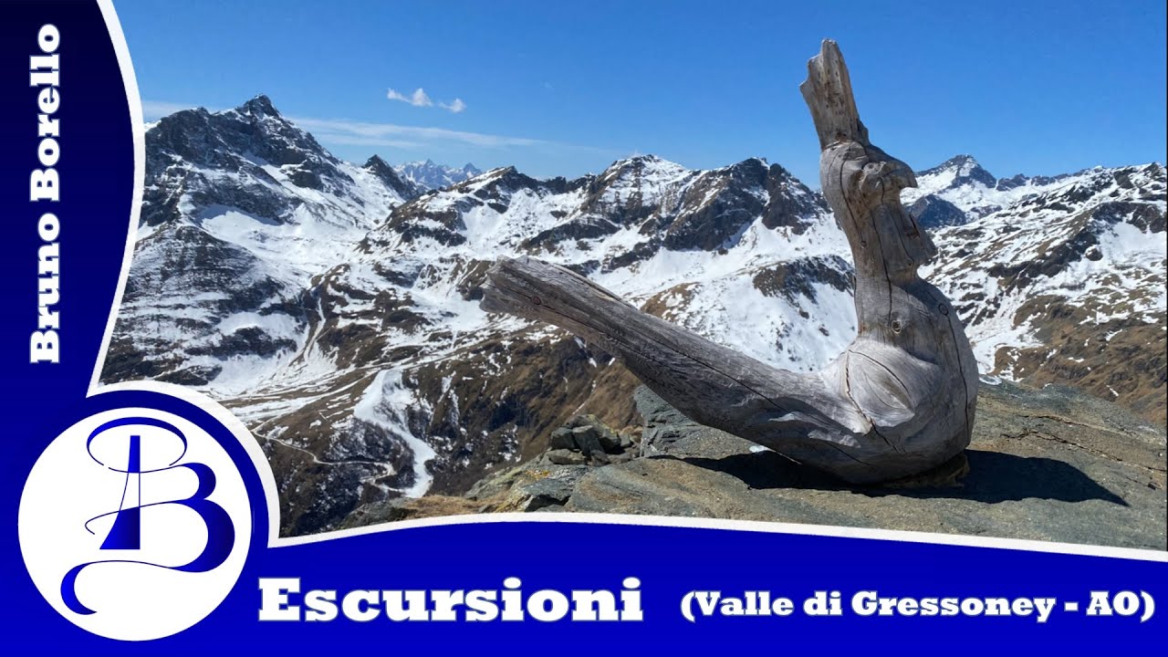 Punta Telcio, 2.833 m da Staffal (AO) | Un balcone sul Monte Rosa (Valle di Gressoney - AO)