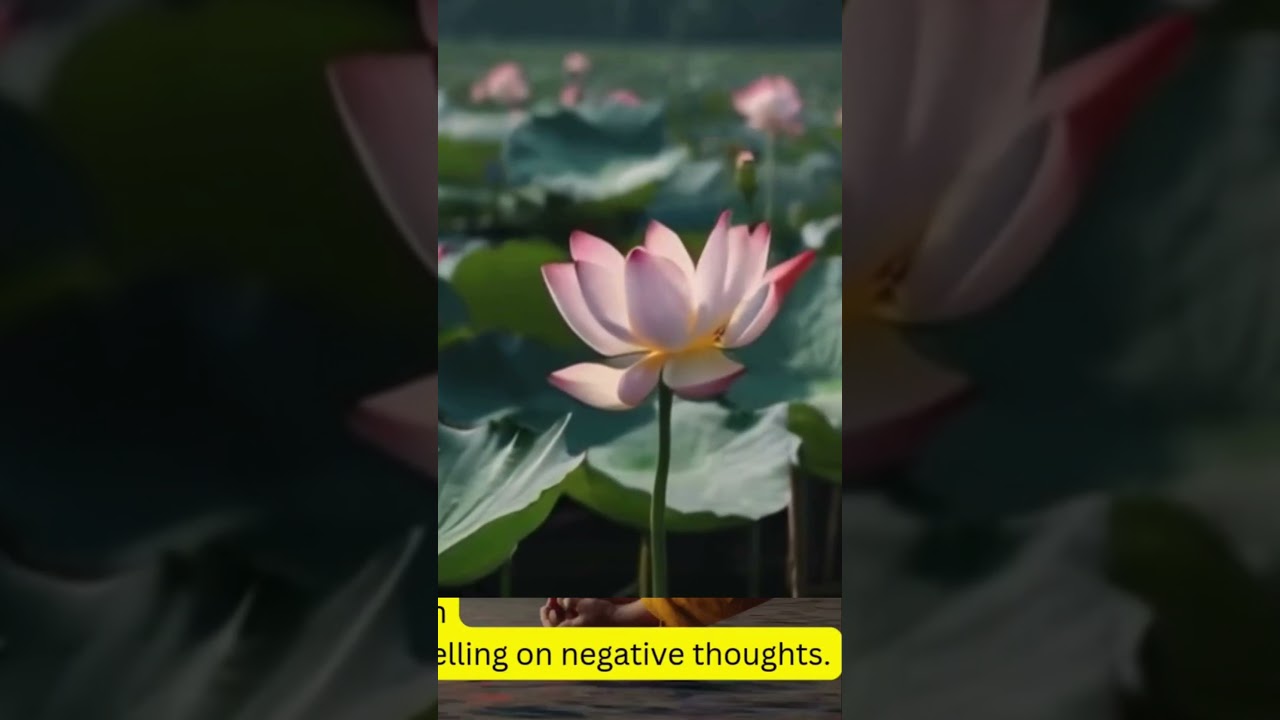 Heal Your Body Beat Depression #ancientteachings #globalbuddhism