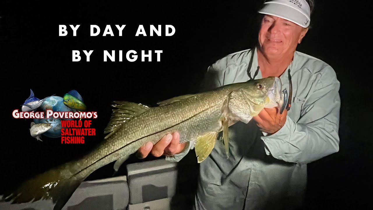 2024 SEASON - Episode 7 Biscayne Bay, FL, By Day & By Night!