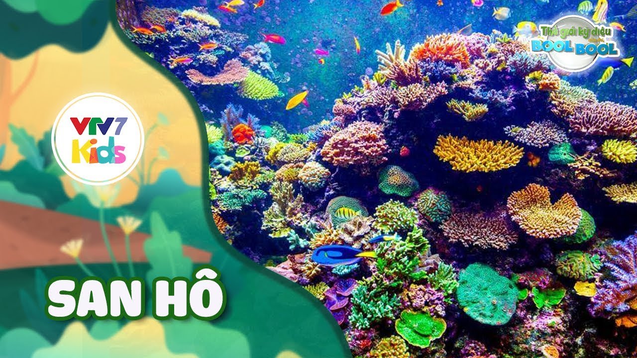 Thế giới kỳ diệu của Bool Bool - M&ugrave;a 2 - Số 13 | SAN H&Ocirc; | VTV7