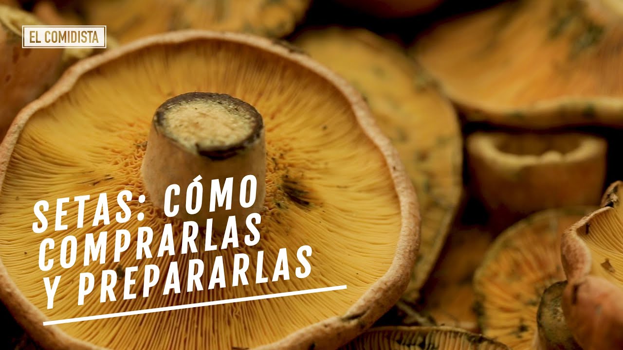 Tres consejos para comprar setas y dos ideas para cocinarlas | EL COMIDISTA