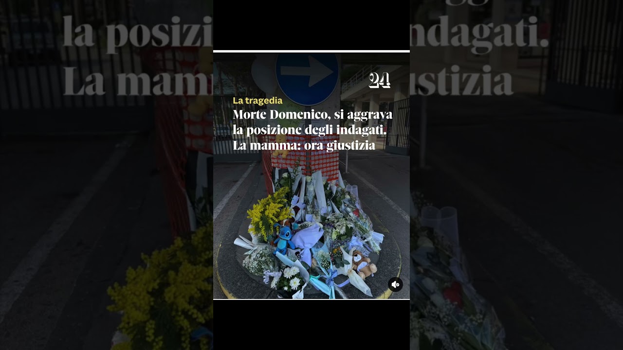 La mamma di Domenico: &laquo;Ho affidato la vita di mio figlio ai medici e mi hanno tradito&raquo;