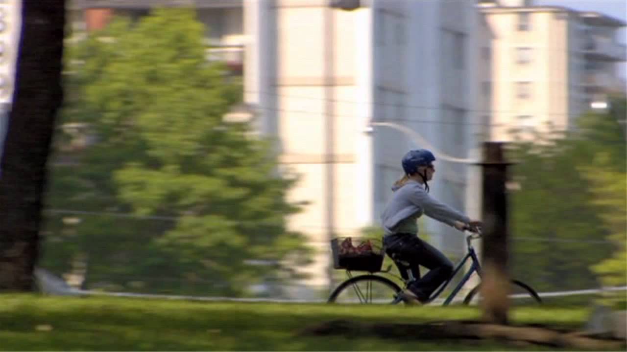 Air Quality And Your Health