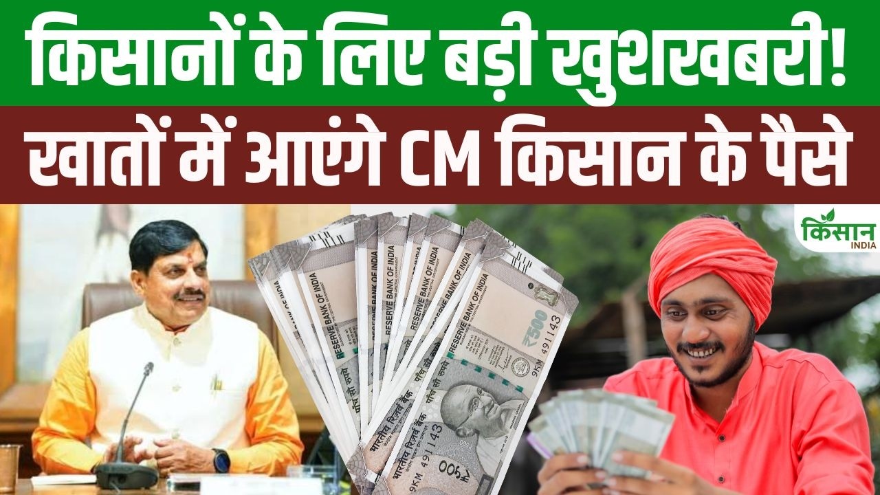 CM Kisan Kalyan Yojana funds to be released today, CM Mohan Yadav may disburse ₹3300 crore!