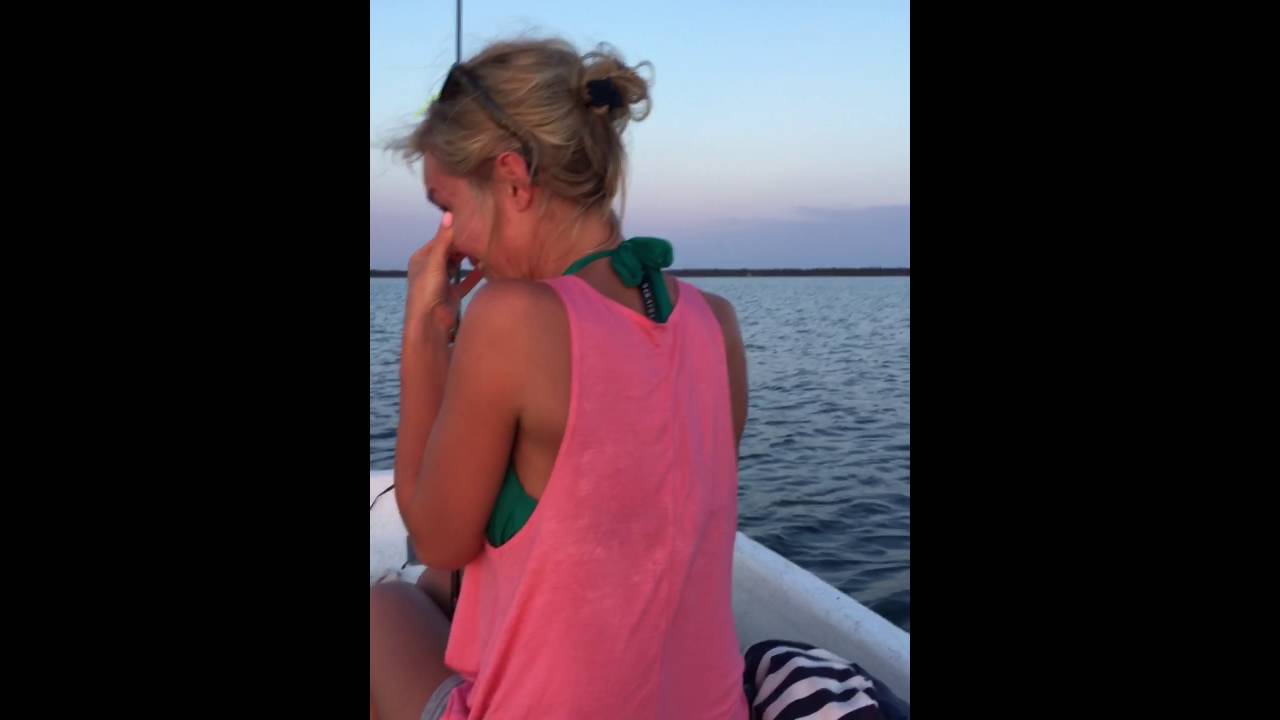 Great White Shark in St. Joseph Bay Florida