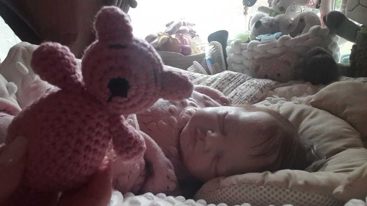 🌸🕯🌸Erste Advendswoche...Nayla wird umgezogen 🌸🕯🌸