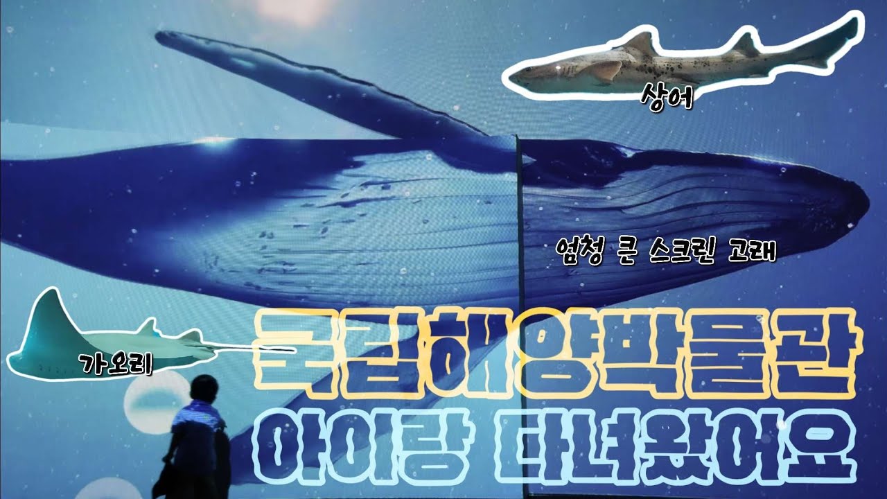 부산 국립해양박물관 아이랑 다녀왔습니다 | 진해루 보트 타고 왔어요