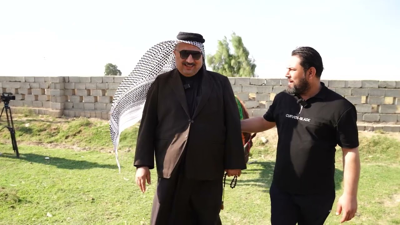 تربية الخيول الاصيلة في محافظة واسط قضاء الحي 
