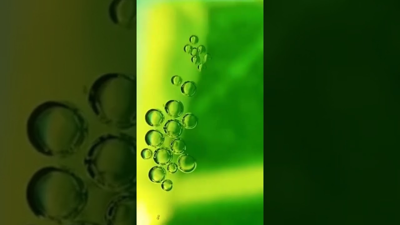 🌹☃️🏞️Zoom Oxygen Molecule ☘️🌱 Water in Leaf 🌿 💦 Photosenthetic Process 🌵 #shorts #study 😘