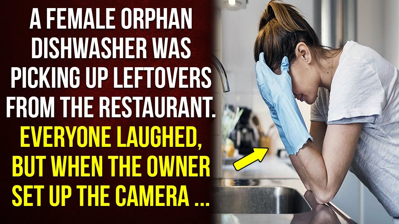 A female orphan dishwasher was picking up leftovers from the restaurant... Everyone laughed, but ...