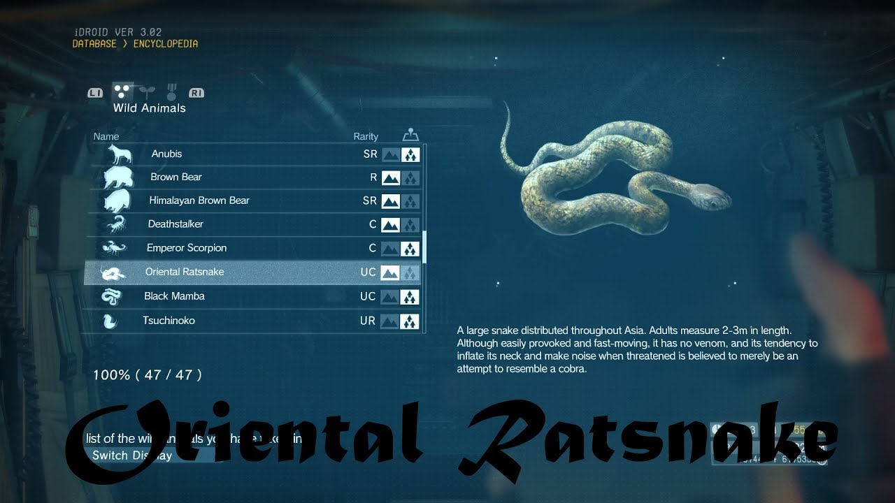 METAL GEAR SOLID V: THE PHANTOM PAIN: Oriental Ratsnake