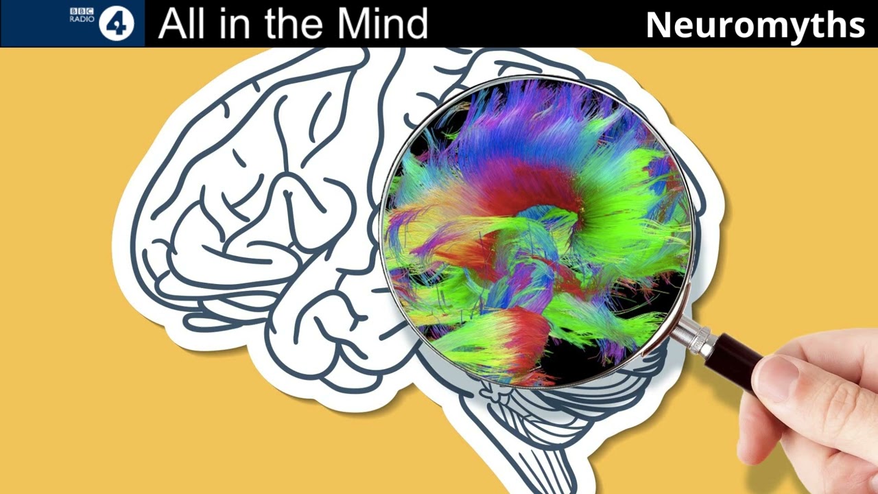 Neuromyths. | All In The Mind