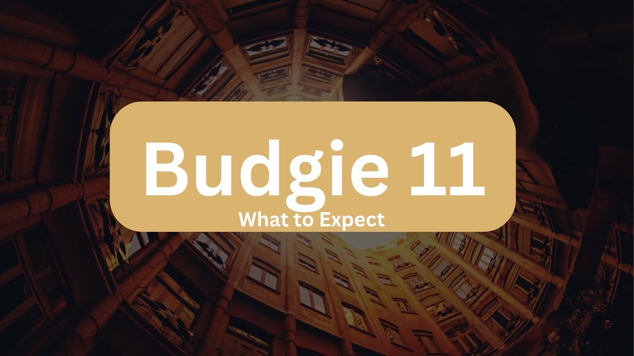 Budgie 11 Set to Launch This Year: What to Expect
