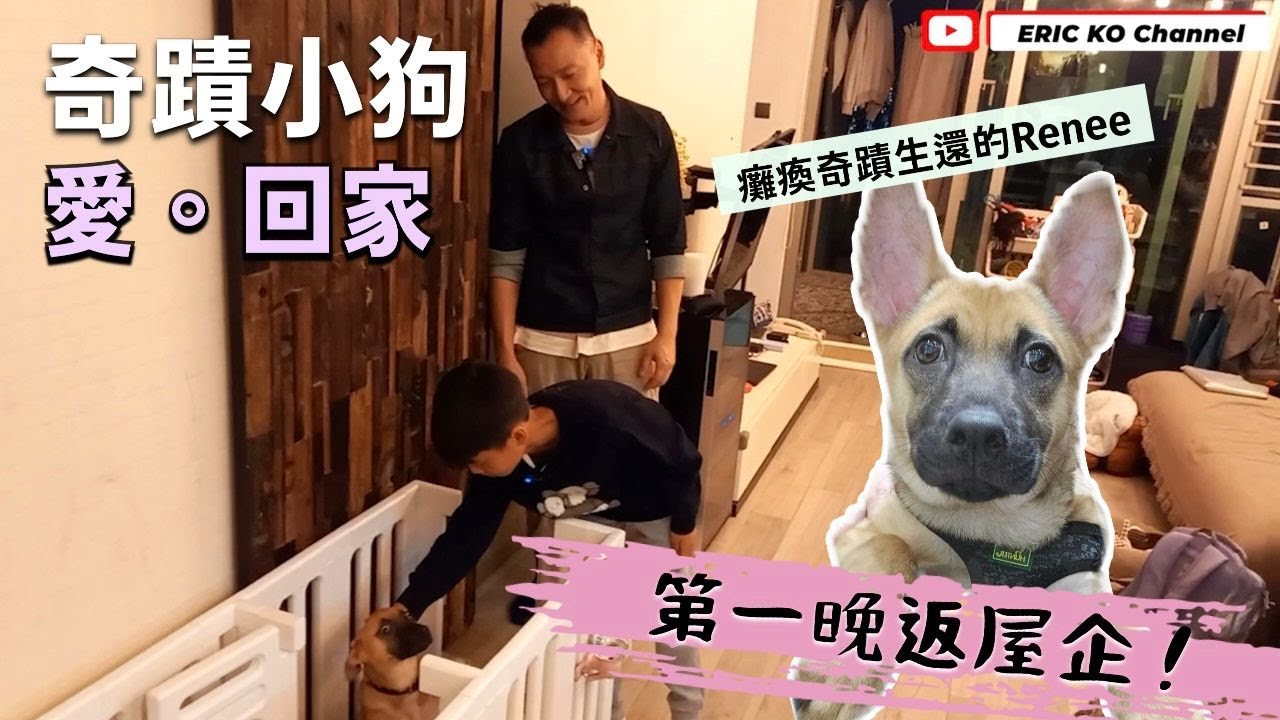 ✨🐶奇蹟小狗愛回家🏠
