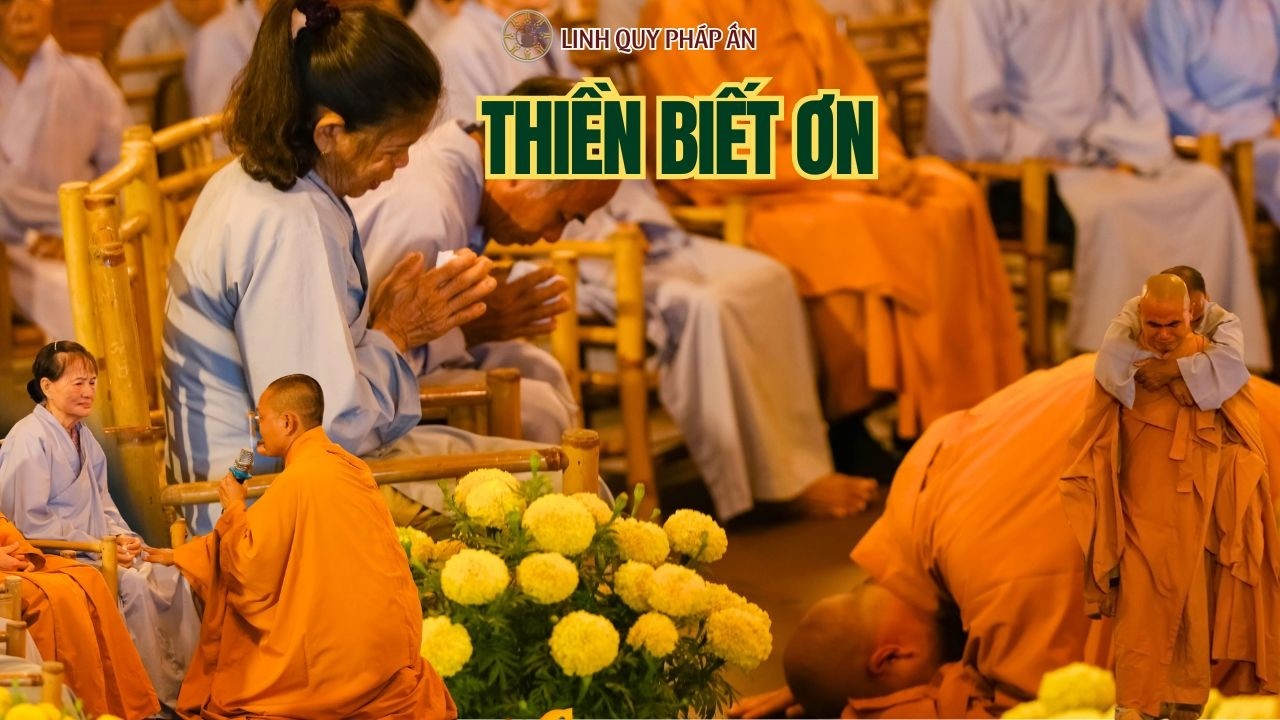 NIKAYA - Thiền Biết Ơn (28.2.2026)