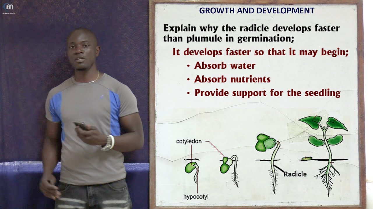 Part 2; Growth and Development Revision