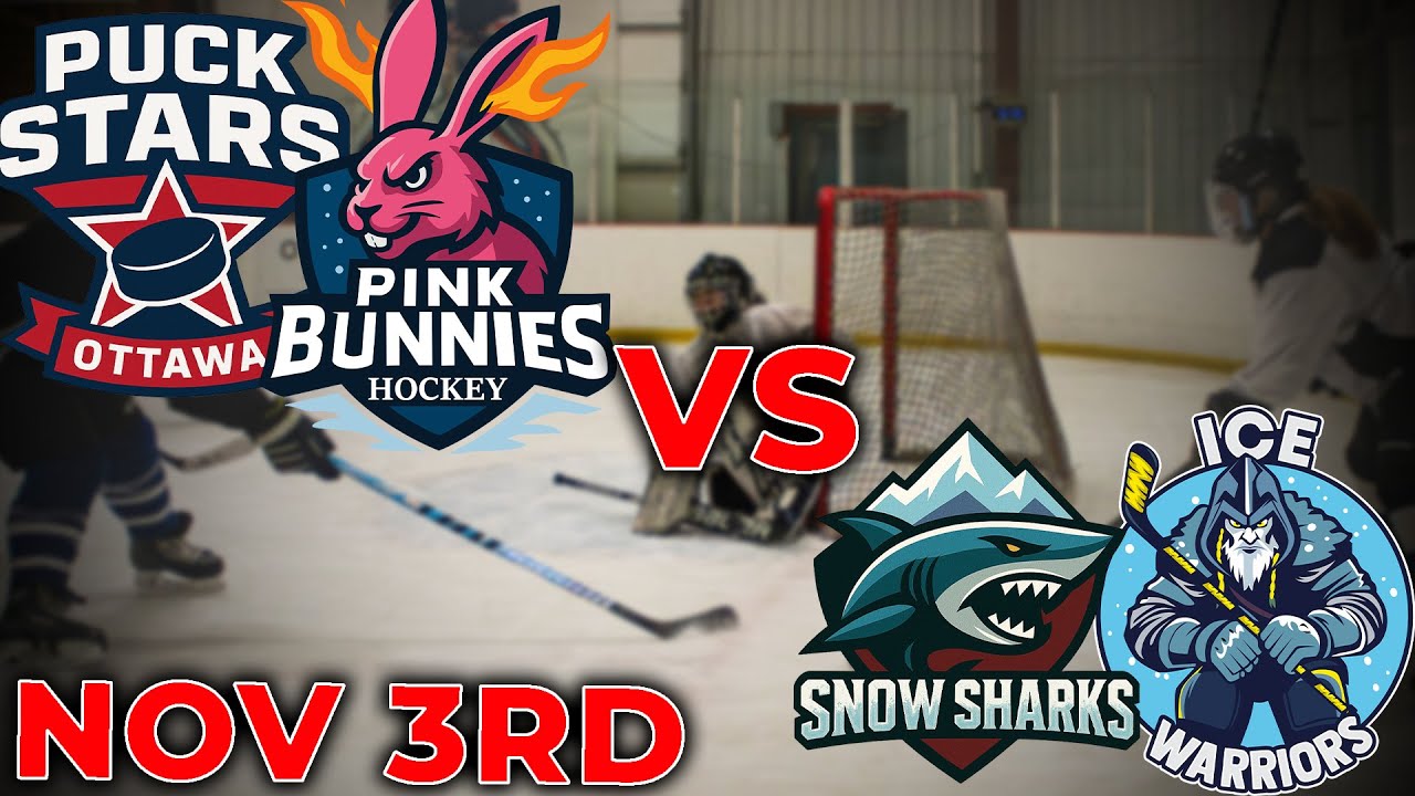 OWB | 3v3 | Puck Stars & Pink Bunnies VS Snow Sharks & Ice Warriors | November 3rd, 2025