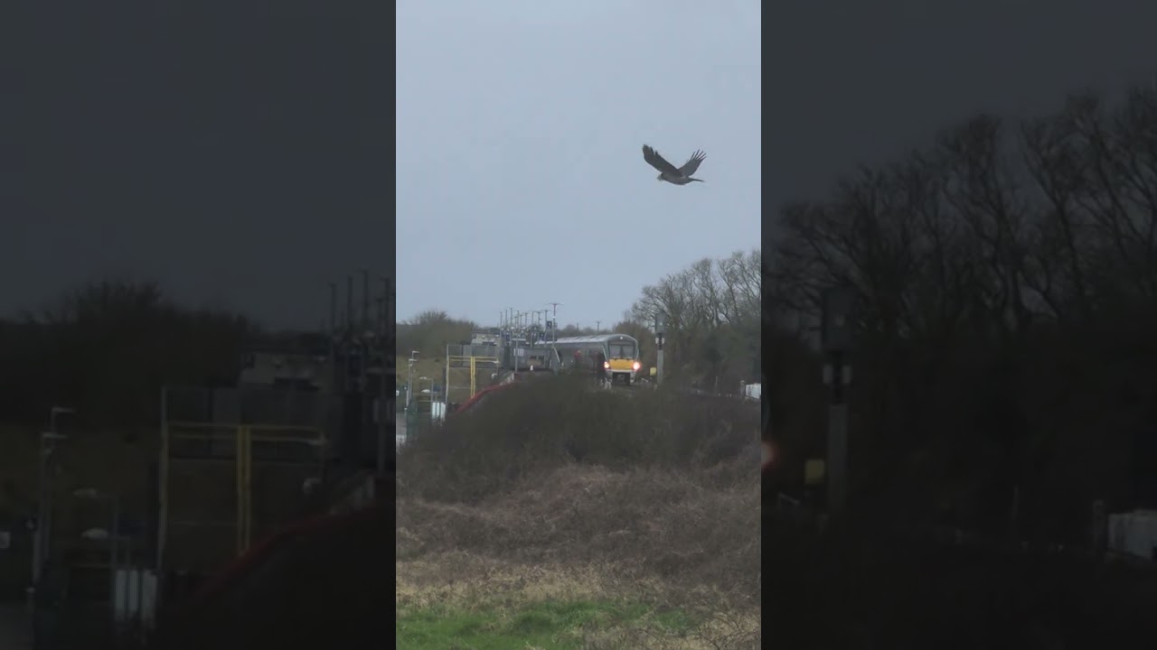 Railroad crossing in oranmore dzelzcela parbrauktuve uz oranmore