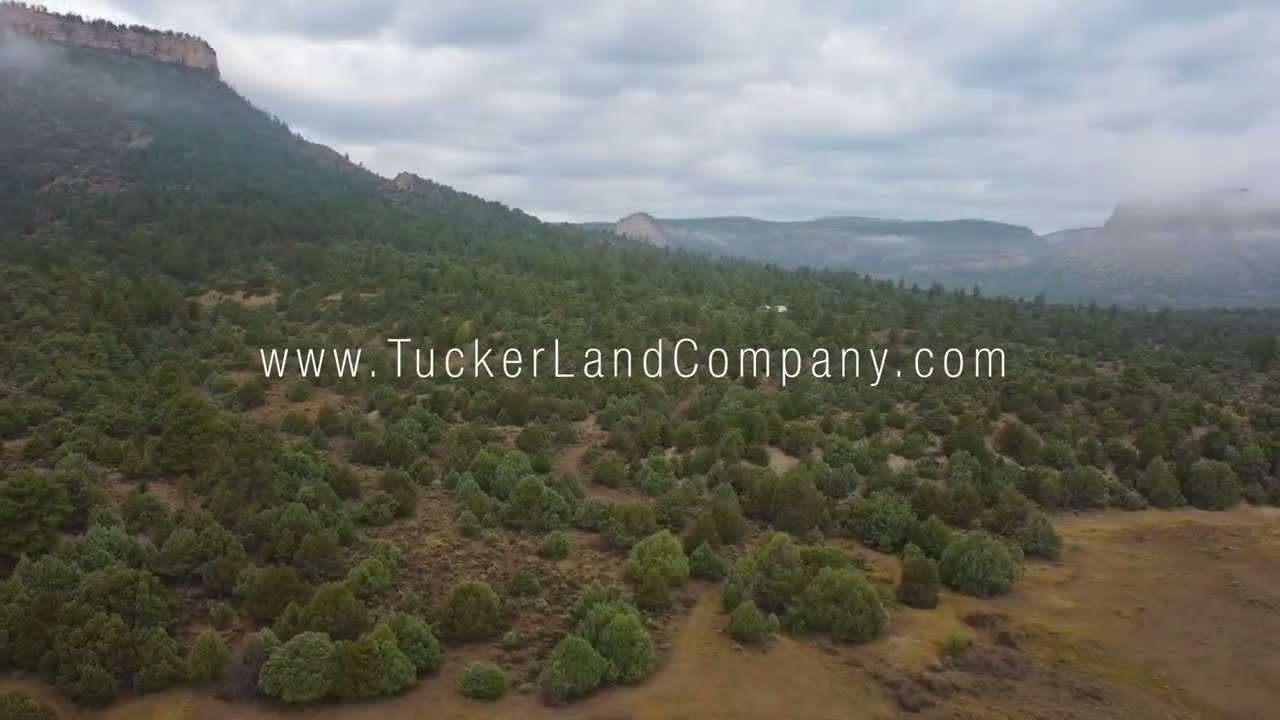 2.4 Acres of Lakeside Land For Sale! Rio Arriba County, New Mexico