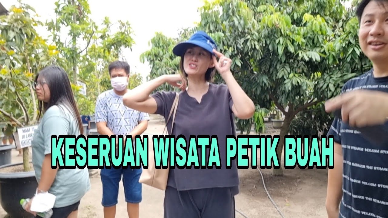 KESERUAN WISATA PETIK BUAH