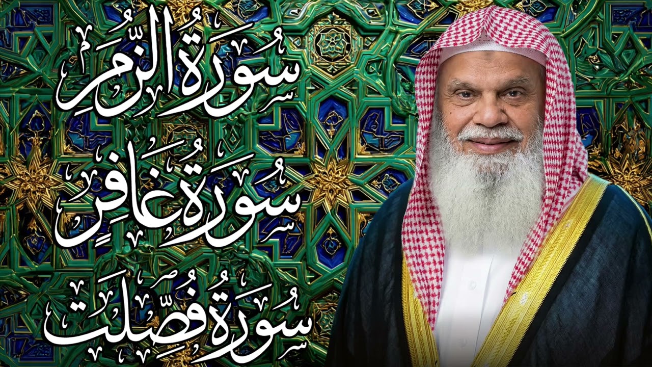 سور الزمر وغافر وفصلت | تلاوة خاشعة بصوت الشيخ علي الحذيفي تلامس القلوب وتبعث السكينة