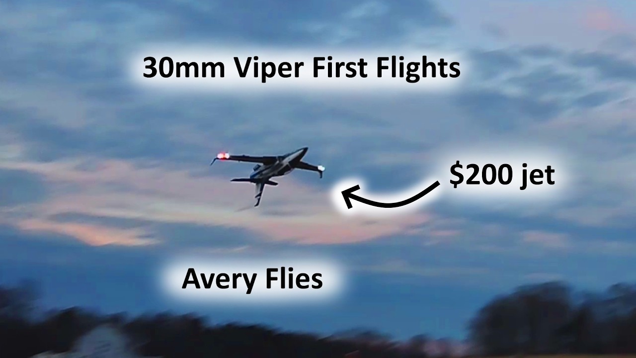 Обзор полета E-Flite UMX Viper 30 | Avery Flies