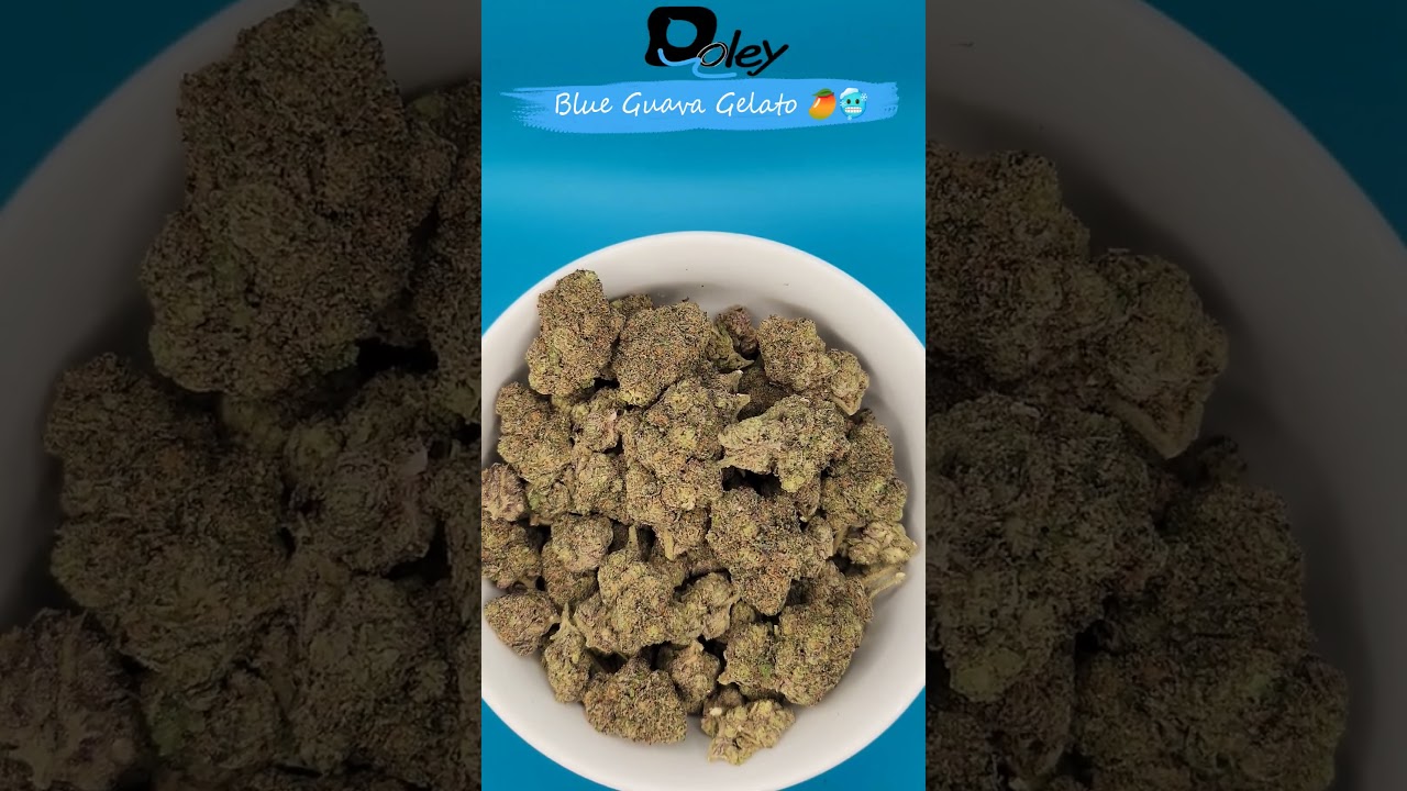 Guava Gelato 🥭🥶