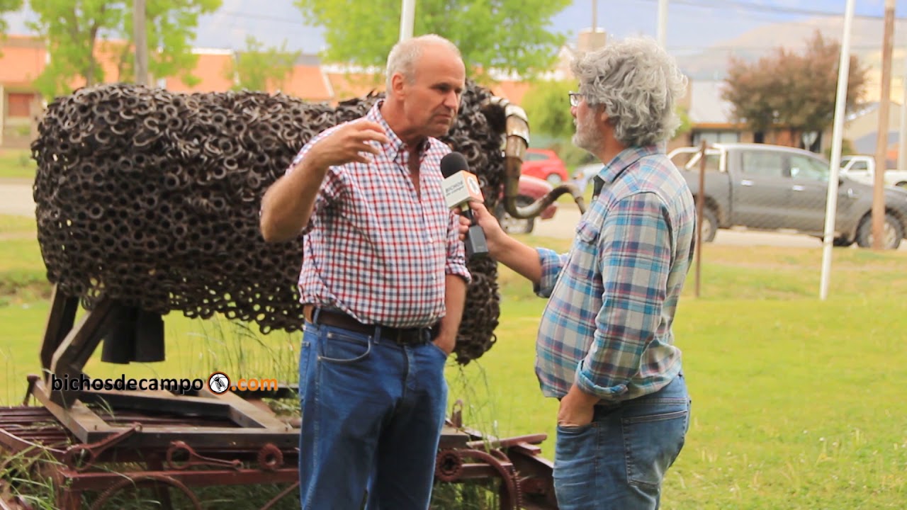 Pablo Borrelli - Gerente General de Ovis 21