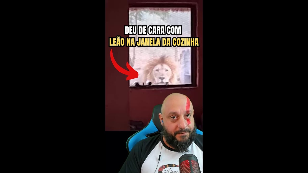 Deu de cara com um Leão na janela da cozinha