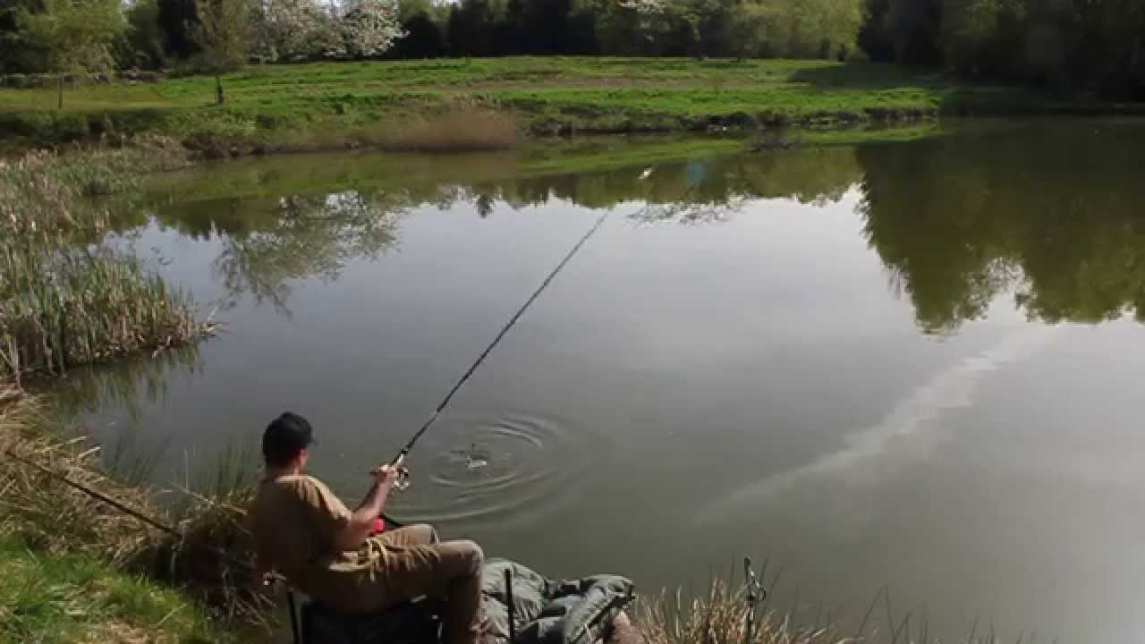 Pêche en carpodrome au moulinet
